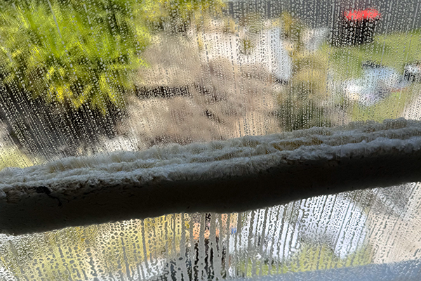 Professional window cleaning in Northern Beaches, Sydney. Streak-free and eco-friendly exterior window washing for homes and businesses.